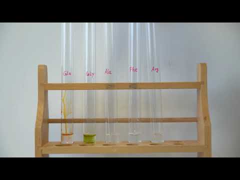 pH Wert Aminosäuren