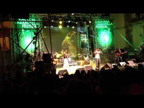 RAIZ e PIETRA MONTECORVINO