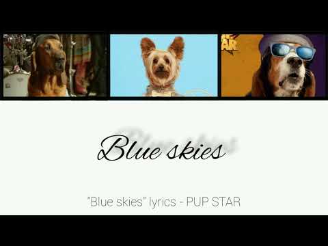 "Blue Skies" lyrics - PUP STAR