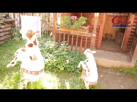 MUZEUL DE LA HUMULESTI