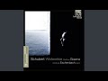 Winterreise, D. 911: XV. Die Krähe