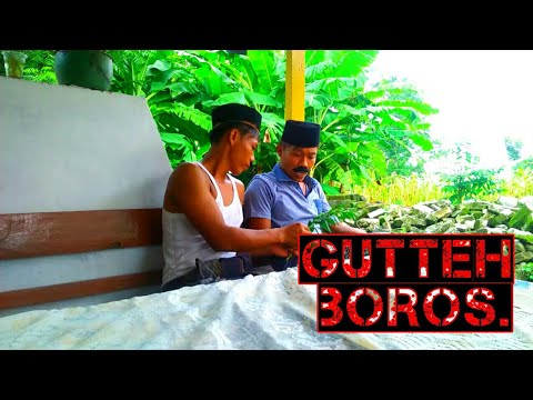 madura-lucugutteh-boros