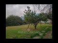 Tour Virtual