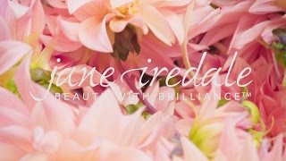 jane iredale PurePressed Base - Beauty with Brilliance