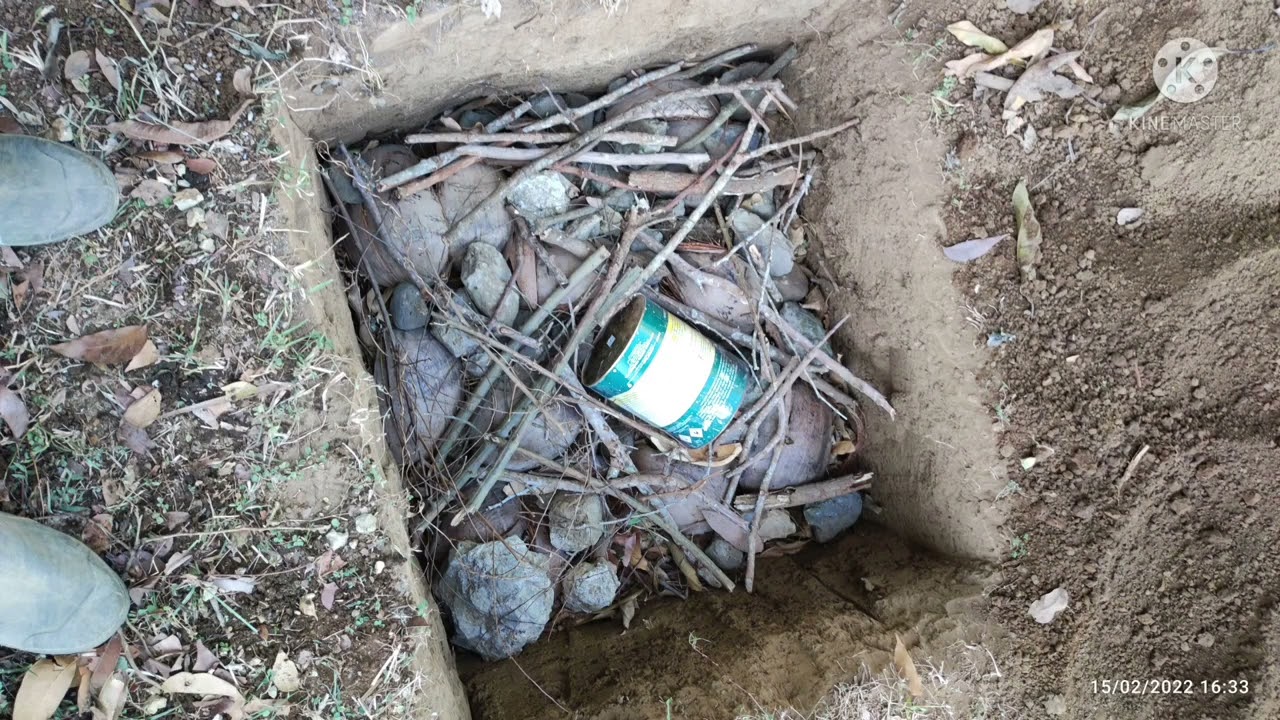 Planting A Tree - The Ellen White Method