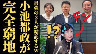 【急展開】さとうさおり都議、北村晴男・浜田聡と合流ｗｗ 東京都議会YouTube収益問題で行政訴訟を検討へ