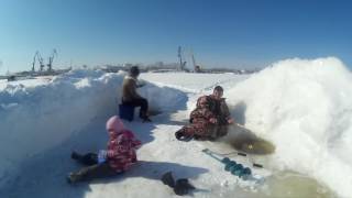 Клев рыбы в комсомольске на амуре