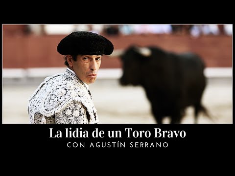 🐂 La lidia de un toro bravo🐂 con Agustín Serrano