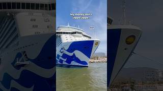 Sounds about right! #cruise #shorts