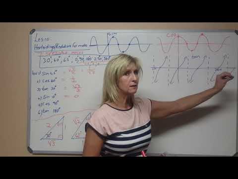 Allies Wiskunde 2020 Graad 11 - 10