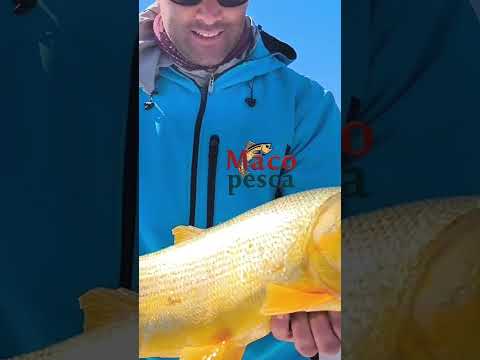 Pescando en Bella Vista Corrientes