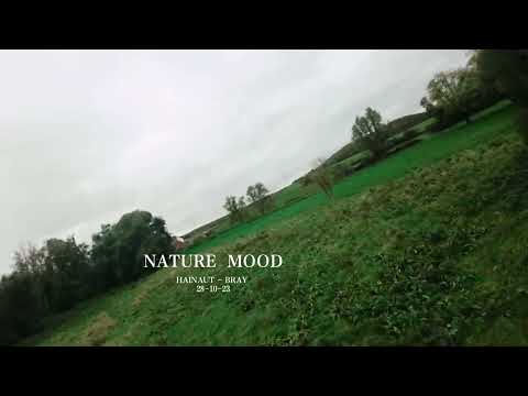 DJI Avata / Bray Belgium 28-10-23 / The beauty of autumn