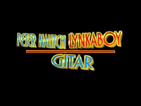 Peter Nalitch -gitar(Lynkaboy remix).avi