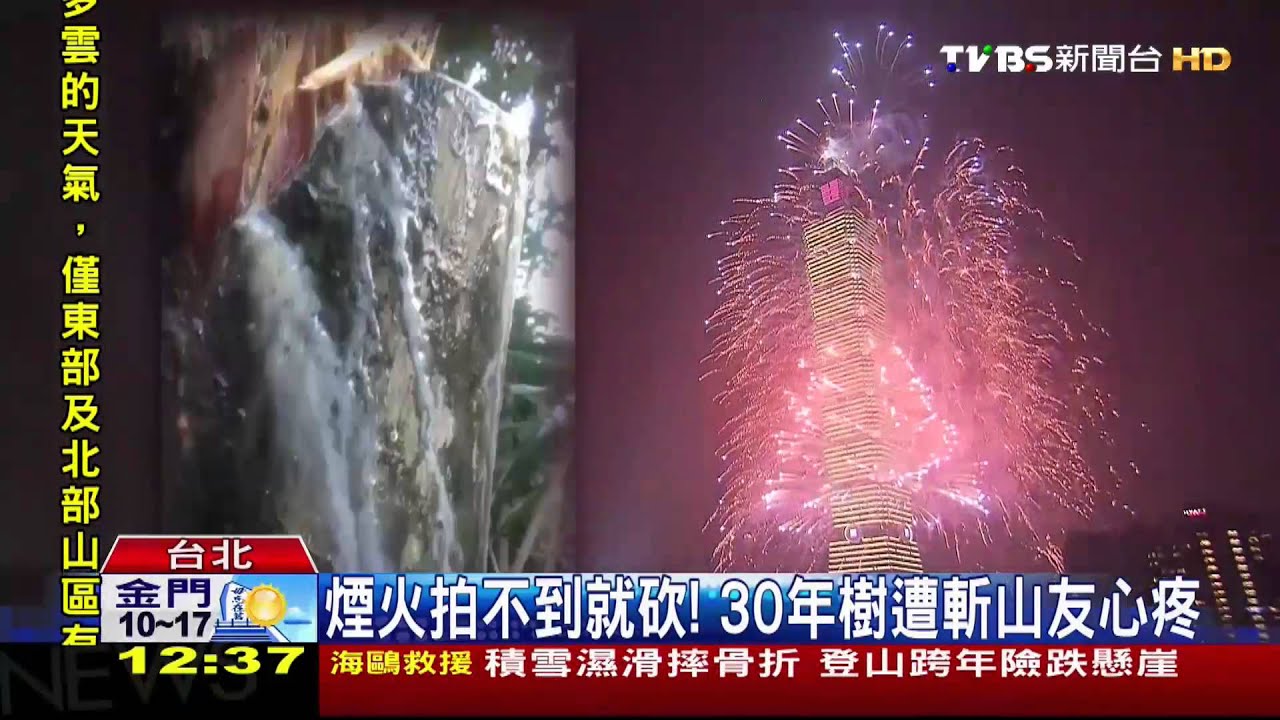 煙火拍不到就砍! 30年樹遭斬山友心疼