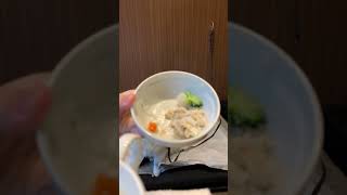 5キロチワワ ワンチャンビュッフェ