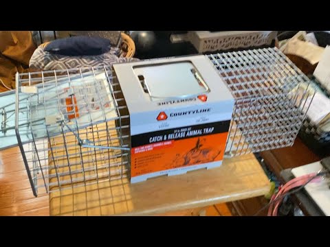 The CountyLine Catch & Release Animal Trap
