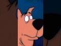 Why Scooby Doo Can Talk Scoobydoo Cartoon Mystery Nostalgia Animation