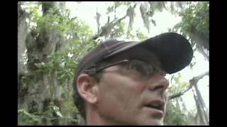 preview picture of video 'Overnight Myakka River State Park's Primitive Backcountry, Florida Trail, two days in the WILD'