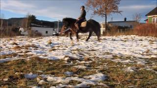 Sunshine hits my face 17.11.16