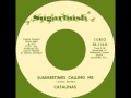 The Catalinas - Summertime's Calling Me