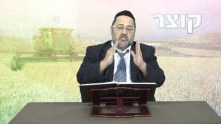 מלאכת קוצר חלק ד | הלכות שבת | הרב בנימין מועלם