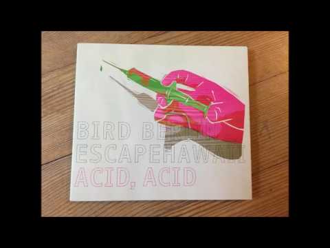 Bird Berlin - Baum (vom Album 