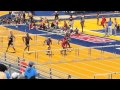 2015 Outdoor 110m Hurdles Highlights