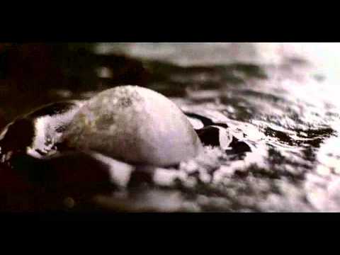 David Koller - Ty a já (watch in HD)