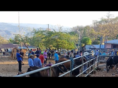 tiangue de Osicala, Morazán Sur, El Salvador, viernes 27 de febrero 2026