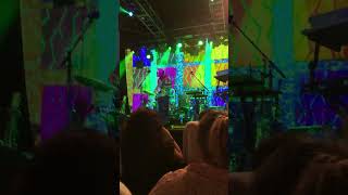 Animal Collective - &quot;For Reverend Green&quot; clip