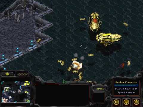 NonY (P) vs MIStrZZZ (T) (Part 2)