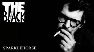 Sparklehorse - Homecoming Queen (Black Session 25/9/2006)