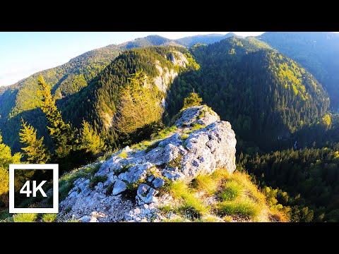 4k Hike in the Carpathian Mountains-Beautiful Walk in the Mountains - Relaxing Video UHD 🌲🌲🌲