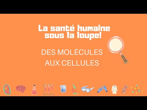 Des molécules aux cellules