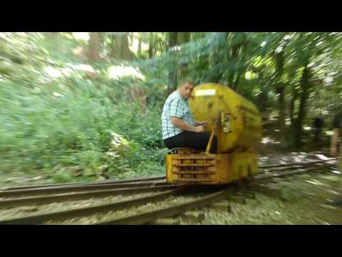 download lagu mp3 mp4 The Whistling Pig, download lagu The Whistling Pig gratis, unduh video klip The Whistling Pig