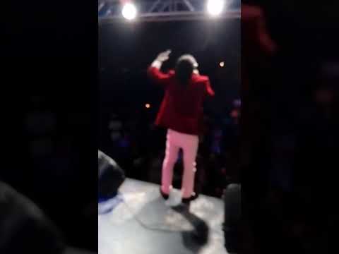 Twinkle Brain(live) at Portland jamfest 2017