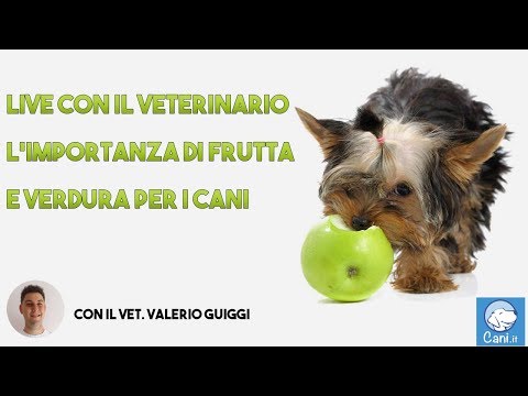 Ginocchio per lartrosi del ginocchio Sublussazione congenita di una vertebra della colonna vertebrale cervicale