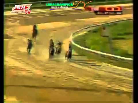 VALENCIA 8 CARRERA VIERNES 07 DE NOVIEMBRE DEL 2014