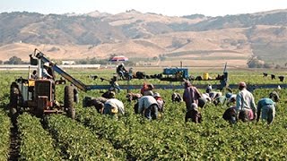 Sustainable Farmer Says If You're A Fan of Eating, Don't Vote For Trump!