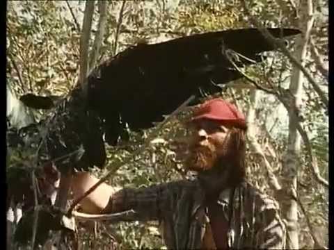 (27) La Collection COUSTEAU - Tahiti, l'eau de feu ( 1988 )