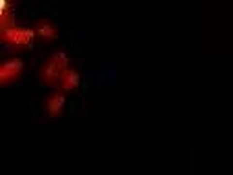 luke fair habit newcastle