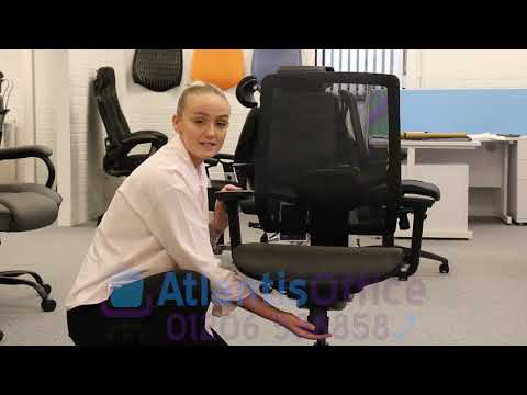 Ergo Twist Ergonomic Mesh Office Chair with Headrest