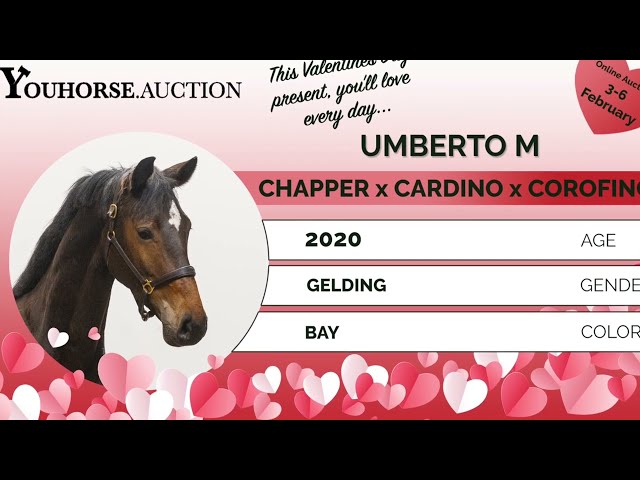 Umberto M