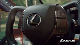 RZ “Detalles” – 2026 – Anuncio de Producto Trailer