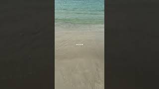 ⚠️漂着物は触ると危険な物もあります #shorts