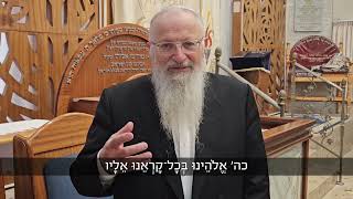 כל אחד מאיתנו - חלק מהפלא שנקרא עם ישראל | הרב שמואל אליהו | הלכה יומית | ח׳ סיוון תשפ״ה (הרב שמואל אליהו) - התמונה מוצגת ישירות מתוך אתר האינטרנט יוטיוב. זכויות היוצרים בתמונה שייכות ליוצרה. קישור קרדיט למקור התוכן נמצא בתוך דף הסרטון