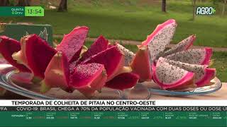 Miniatura do vídeo