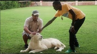 HUGE LION ATTACKS SOULJA BOY