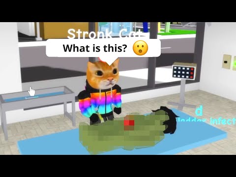 Dr. Stronk Cat Found THIS in Roblox Brookhaven 🏡RP