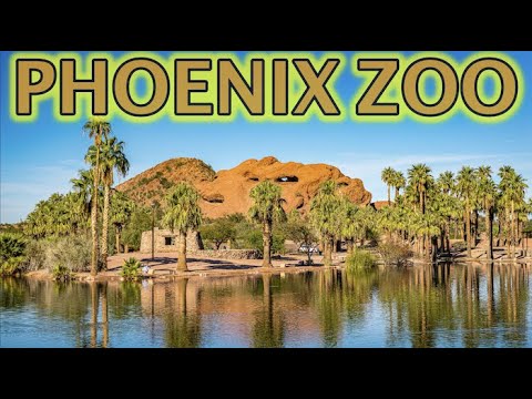 image-How much are Phoenix Zoo tickets?